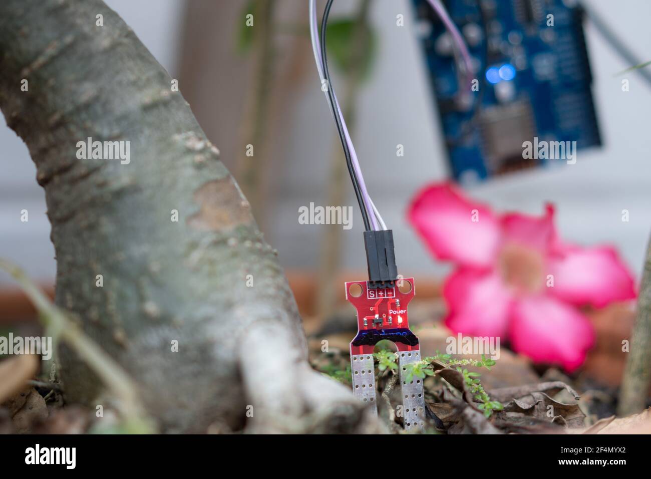 Capteur d'humidité du sol pour déterminer l'humidité du sol. Technologie agricole. Banque D'Images