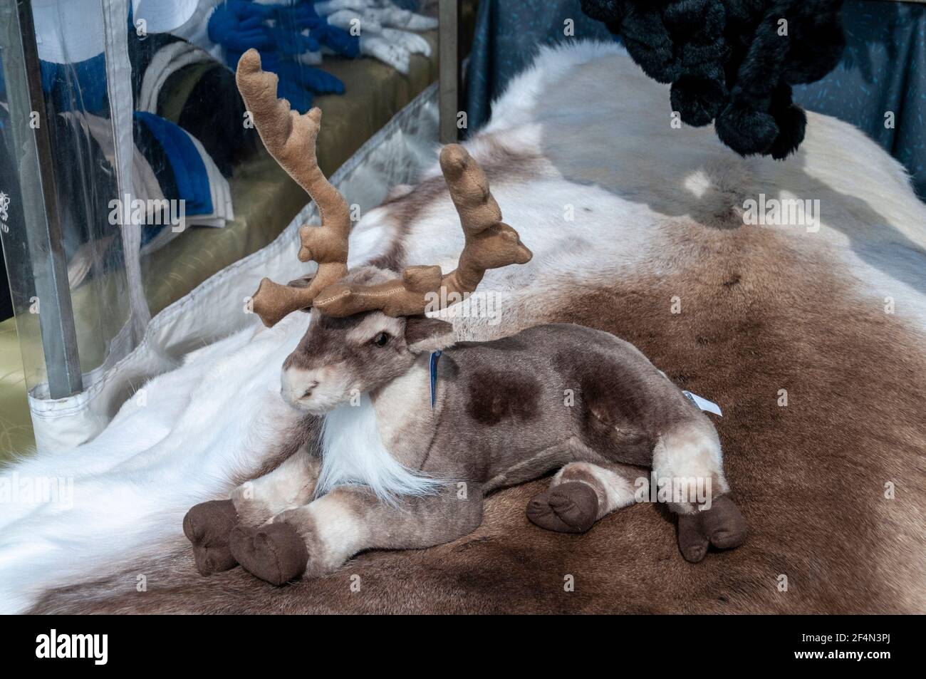 Une mascotte de rennes sur des peaux de rennes finlandaises est en vente dans un stand de Kauppatori (place du marché et place du marché) sur le port d'Helsinki, en Finlande Banque D'Images