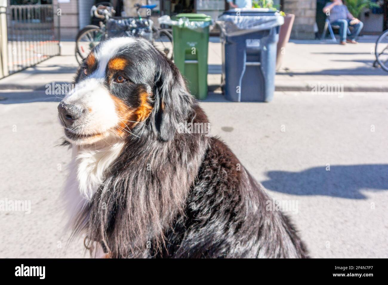 Toronto, Dundas Street West Festival, Canada-3 juin 2017 Banque D'Images