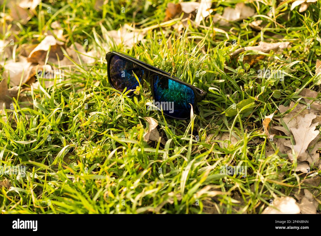 Modèle classique de lunettes de soleil avec verres verts photographiez dehors dans la nature en été. Mise au point sélective Banque D'Images