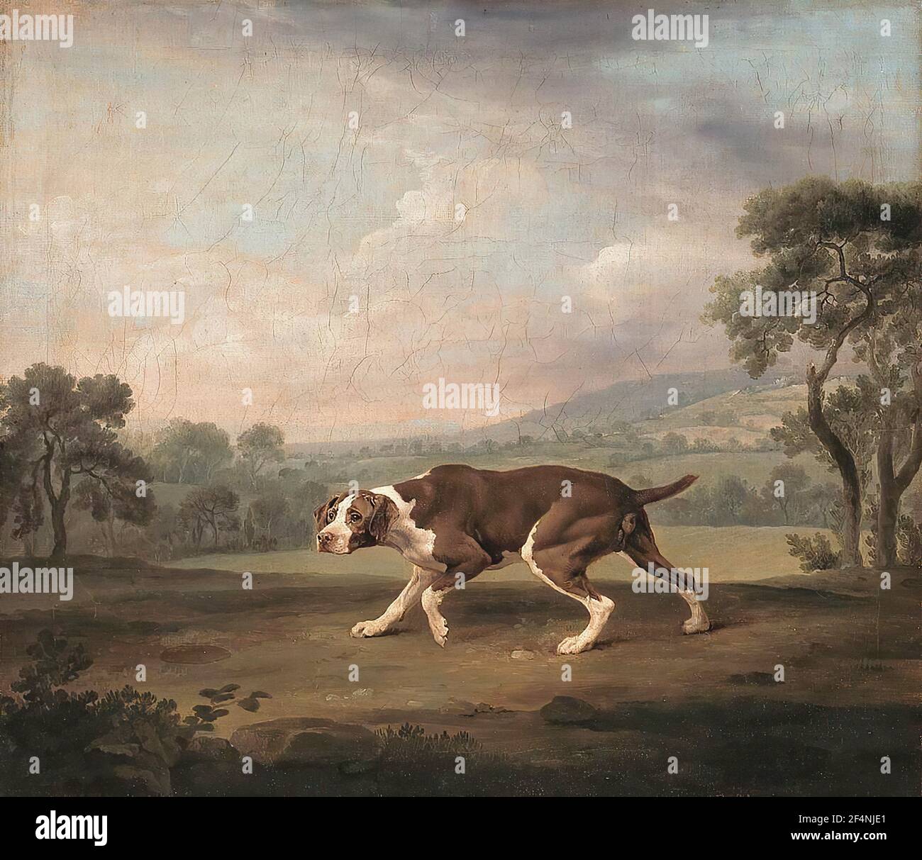 George Stubbs - pointeur espagnol Banque D'Images