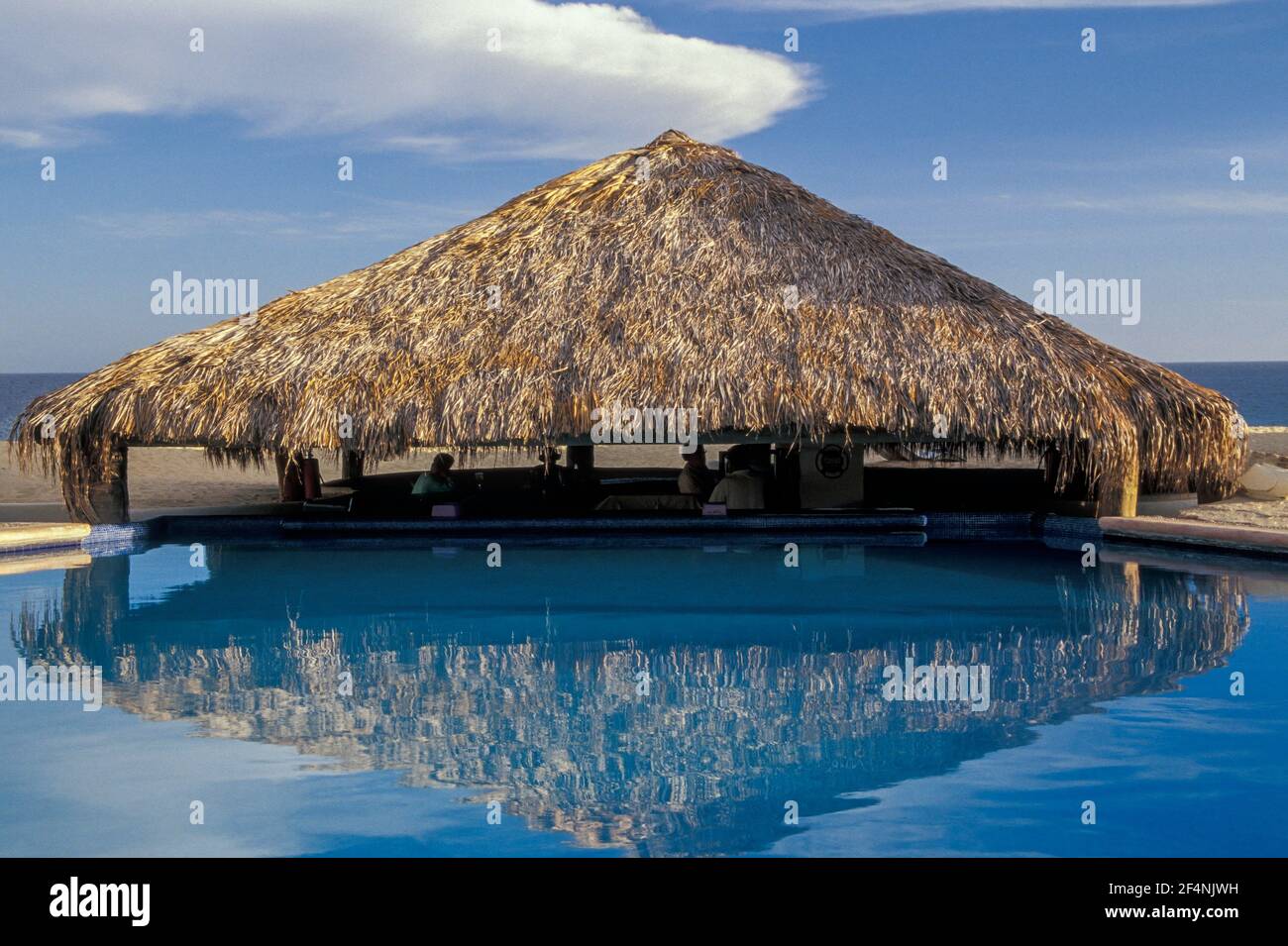 Palapa se reflète dans la piscine, Cabo San Lucas, Baja California sur, Mexique Banque D'Images