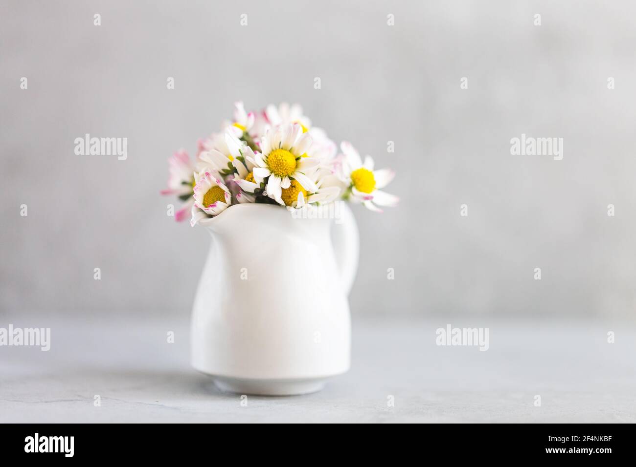 Magnifiques fleurs de Marguerite dans un vase blanc en céramique sur le gris ultime arrière-plan Banque D'Images