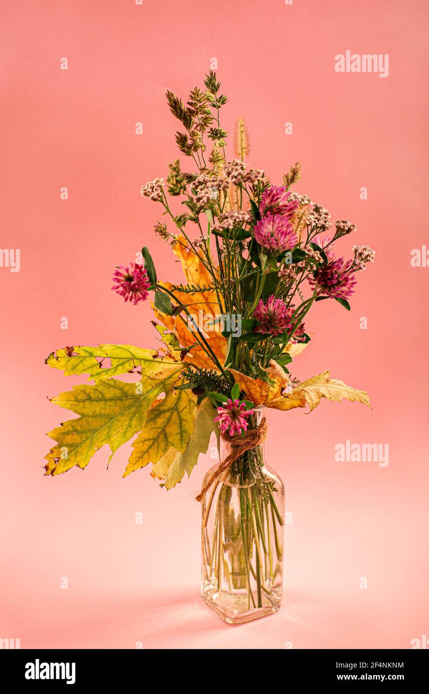vase transparent avec fleurs d'automne sur fond rose Banque D'Images