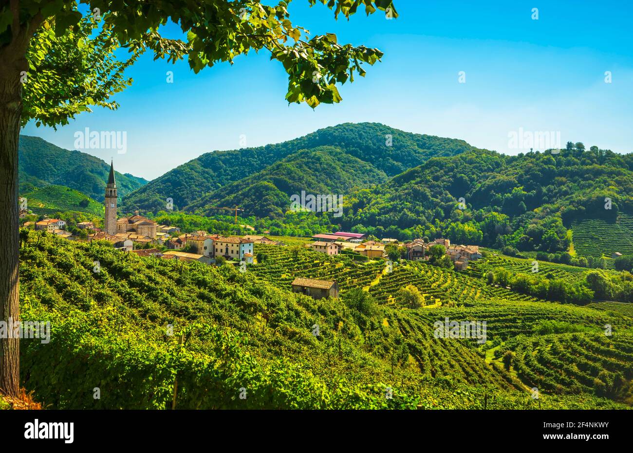 Collines de Prosecco, vignobles et village de Guia. Site de l'UNESCO. Valdobbiadene, Trévise, Vénétie, Italie, Europe. Banque D'Images