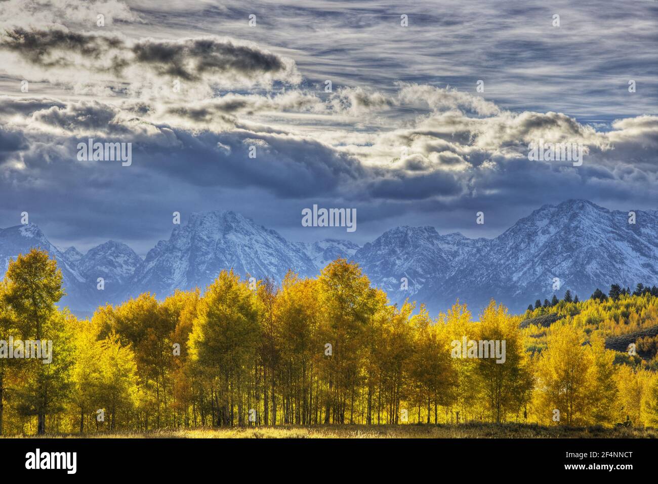 Montagnes de Grand Teton avec automne (automne) colorParc national de Grand Teton, Wyoming. ÉTATS-UNIS LA006617 Banque D'Images
