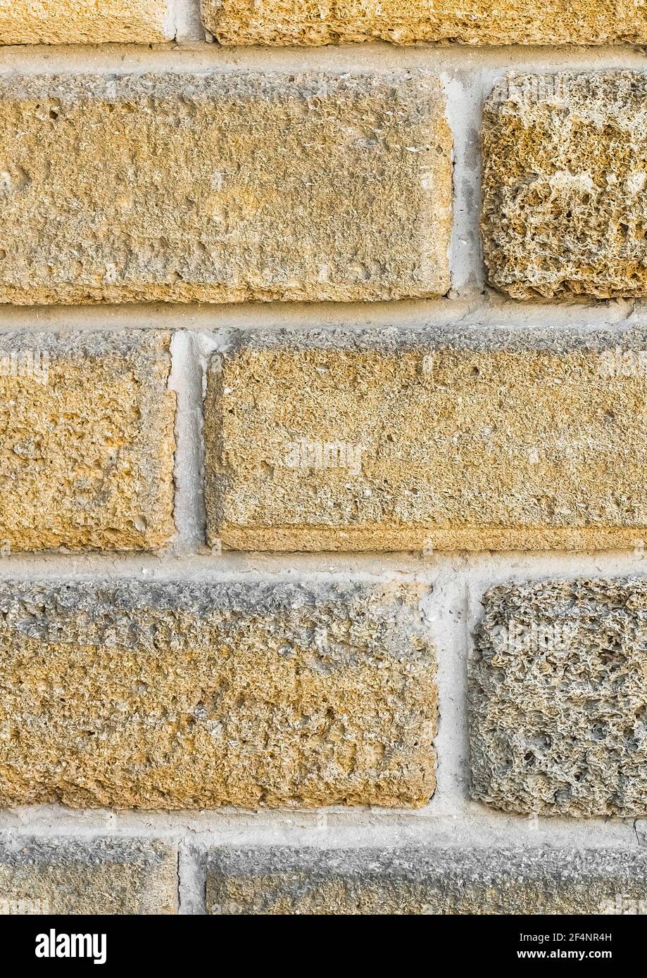 Partie d'intérieur de mur moderne avec des blocs de pierre calcaire de la coquille arrière-plan de texture. Banque D'Images