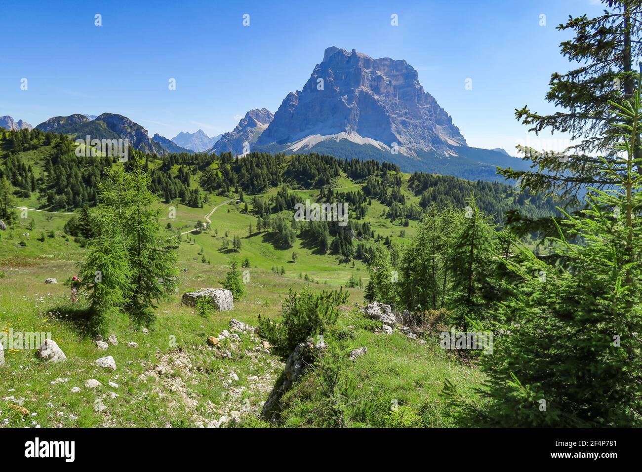 Paysages de dolomie, Alpes italiennes, Italie Banque D'Images