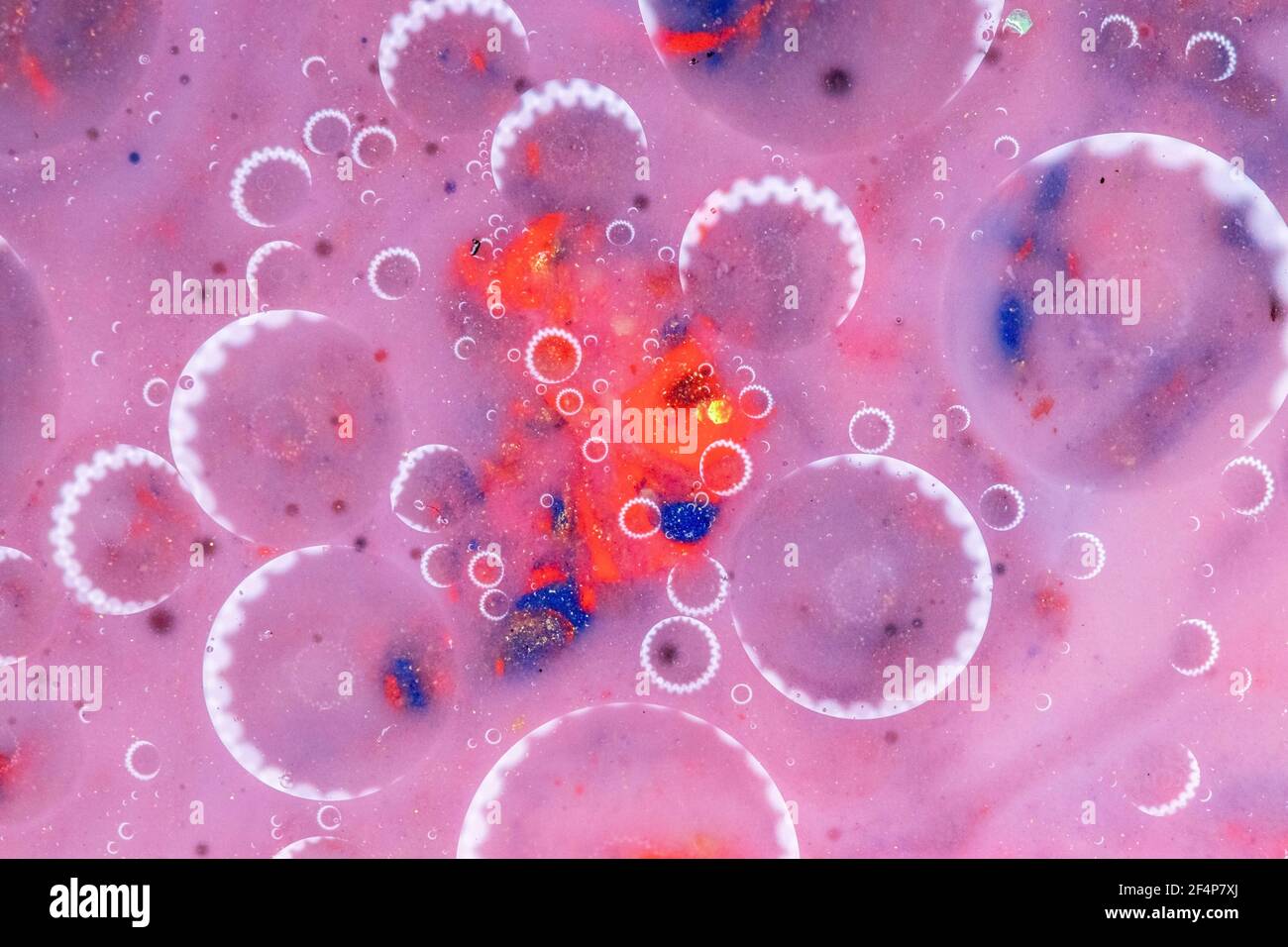 Arrière-plan abstrait rose, cercles de lumière sur l'eau. Couleurs pastel fraîches. Arrière-plan flou. Macro Banque D'Images