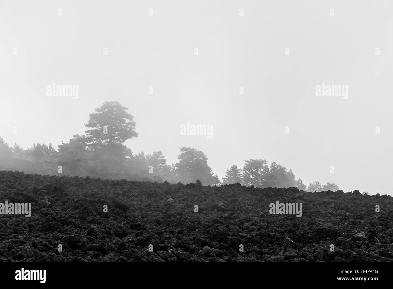 Paysage volcanique par jour de brouillard, l'Etna, Italie Banque D'Images