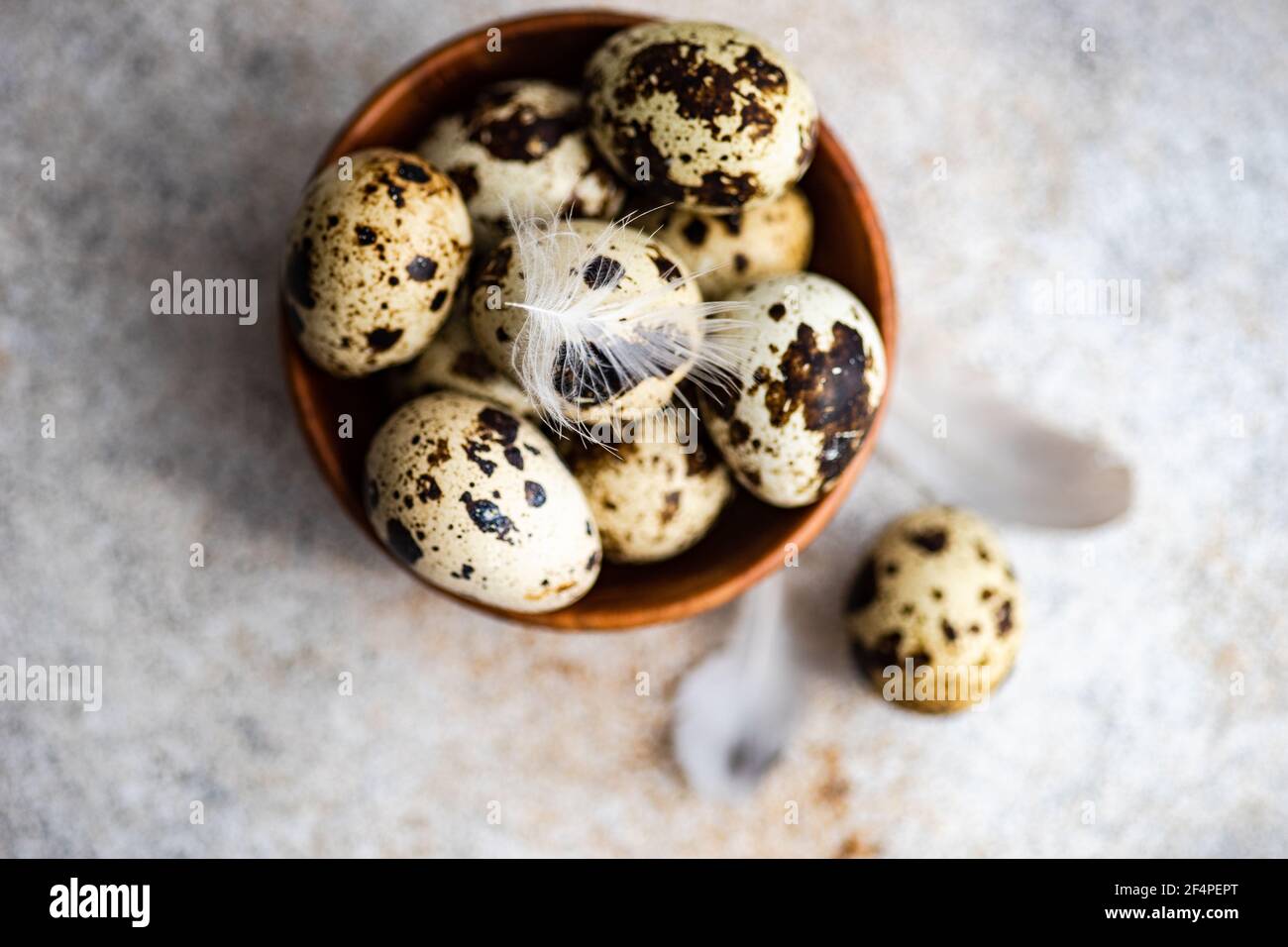 Bol plein d'œufs de perpaline Banque D'Images