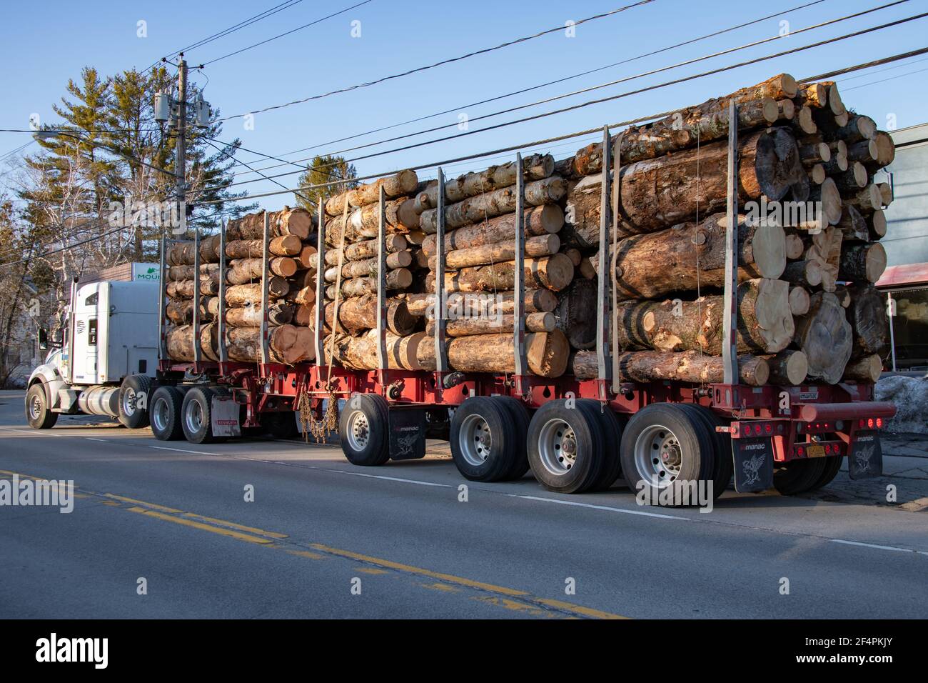 Un tracteur remorque lourdement chargé d'un assortiment de grumes récoltées dans les montagnes Adirondack garées dans le centre-ville de Speculator, NY USA Banque D'Images