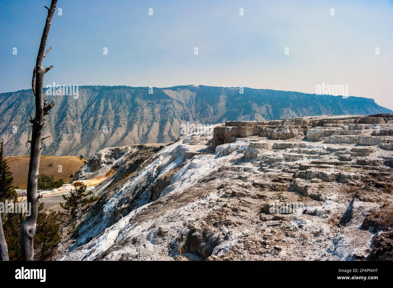 Cavern Terrace une terrasse morte dans le parc national de Mammoth Hot Springs Yellowstone. Photo de haute qualité Banque D'Images