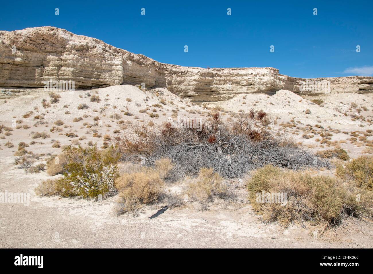 Shoshone est une petite ville près du parc national de la Vallée de la mort, mais elle dispose d'un cimetière, de magnifiques formations rocheuses et d'un tout nouveau ponceau de la rivière Amargosa. Banque D'Images