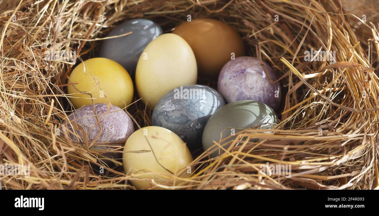 Composition de Pâques - oeufs de Pâques colorés peints avec des teintures naturelles dans un nid de foin, bannière horizontale Banque D'Images