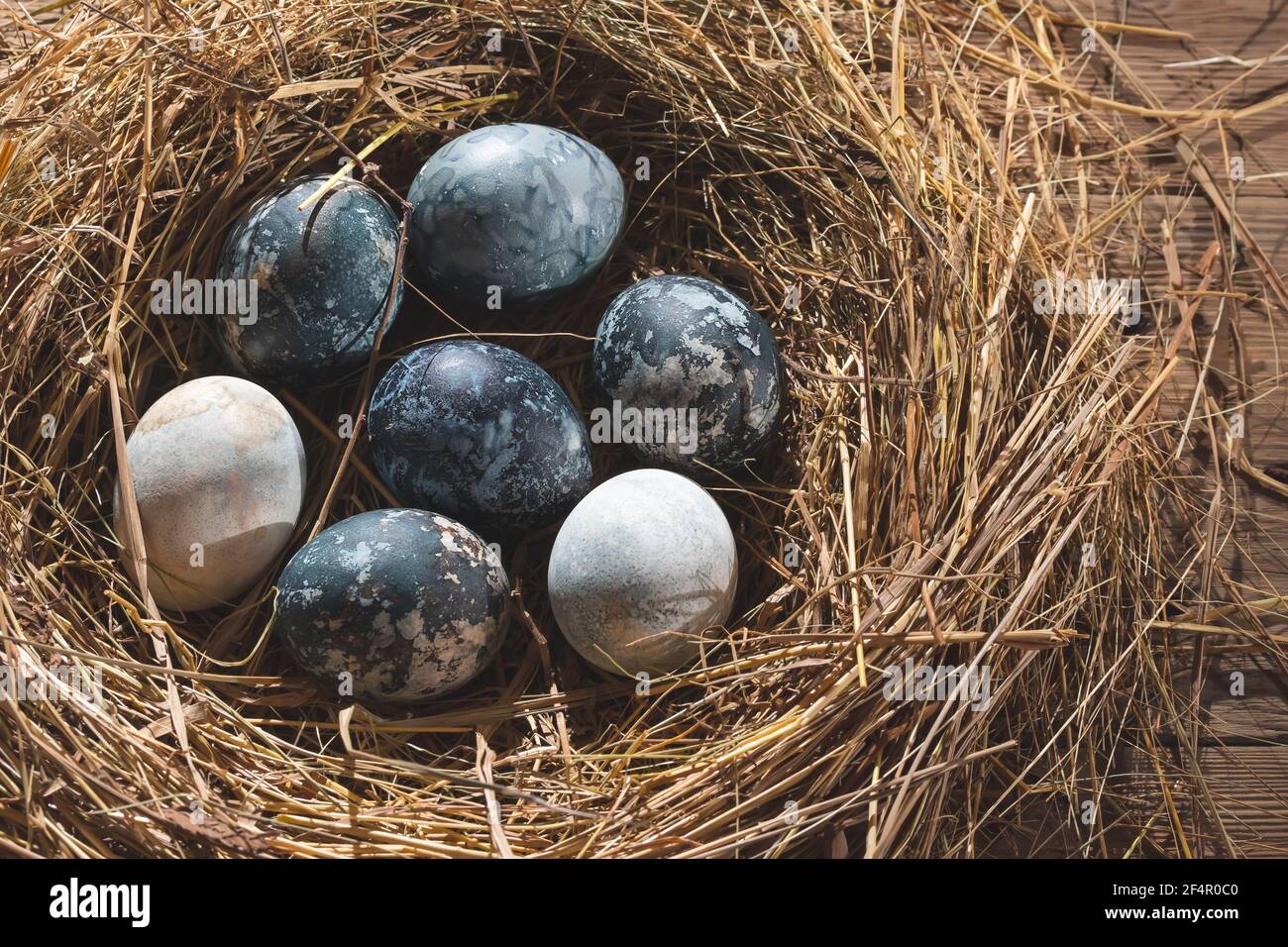 Composition de Pâques - marbre bleu oeufs de Pâques peints avec des teintures naturelles dans un nid de foin Banque D'Images
