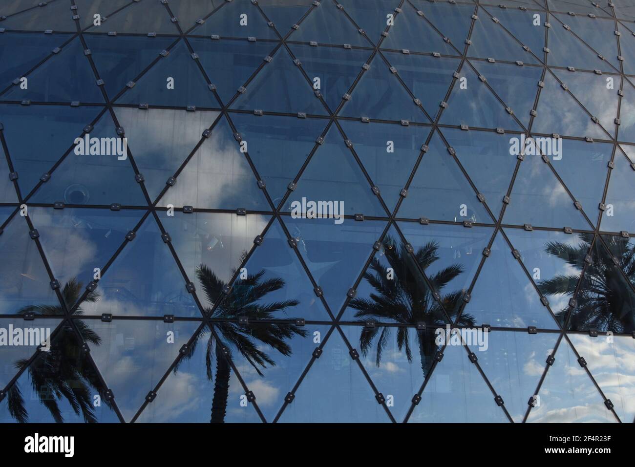 Le reflet des palmiers et des nuages sur la façade du musée Salvador Dali, Saint-Pétersbourg, Floride, Etats-Unis. Banque D'Images
