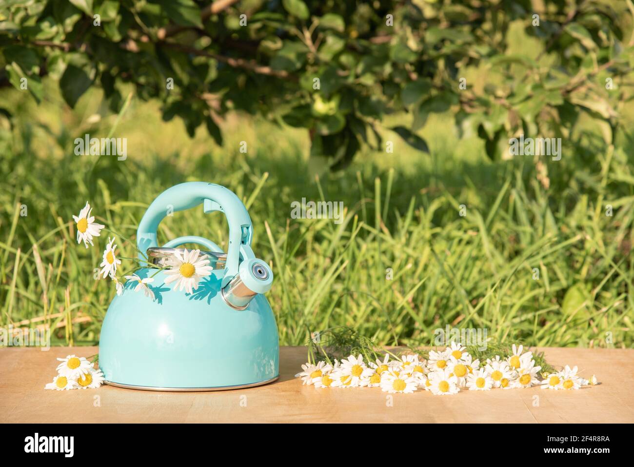 Belle vie d'été encore. Théière bleue avec un bouquet de pâquerettes blanches fraîches sur la table dans l'herbe verte Banque D'Images