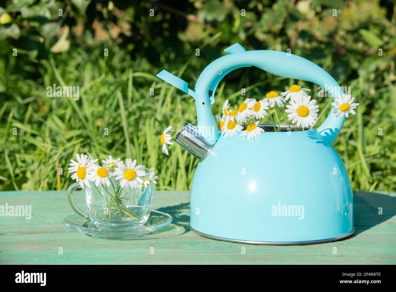 Belle vie d'été encore. Théière bleue avec un bouquet de pâquerettes blanches fraîches et une tasse en verre sur la table dans l'herbe verte Banque D'Images