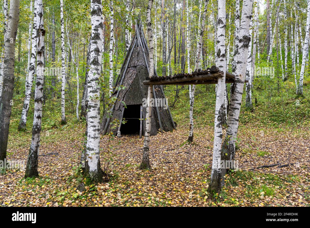 Taltsy, Russie - 5 septembre 2019 : tente en bois d'écorce dans une forêt de bouleau du Musée Taltsy en Sibérie, Russie. Banque D'Images