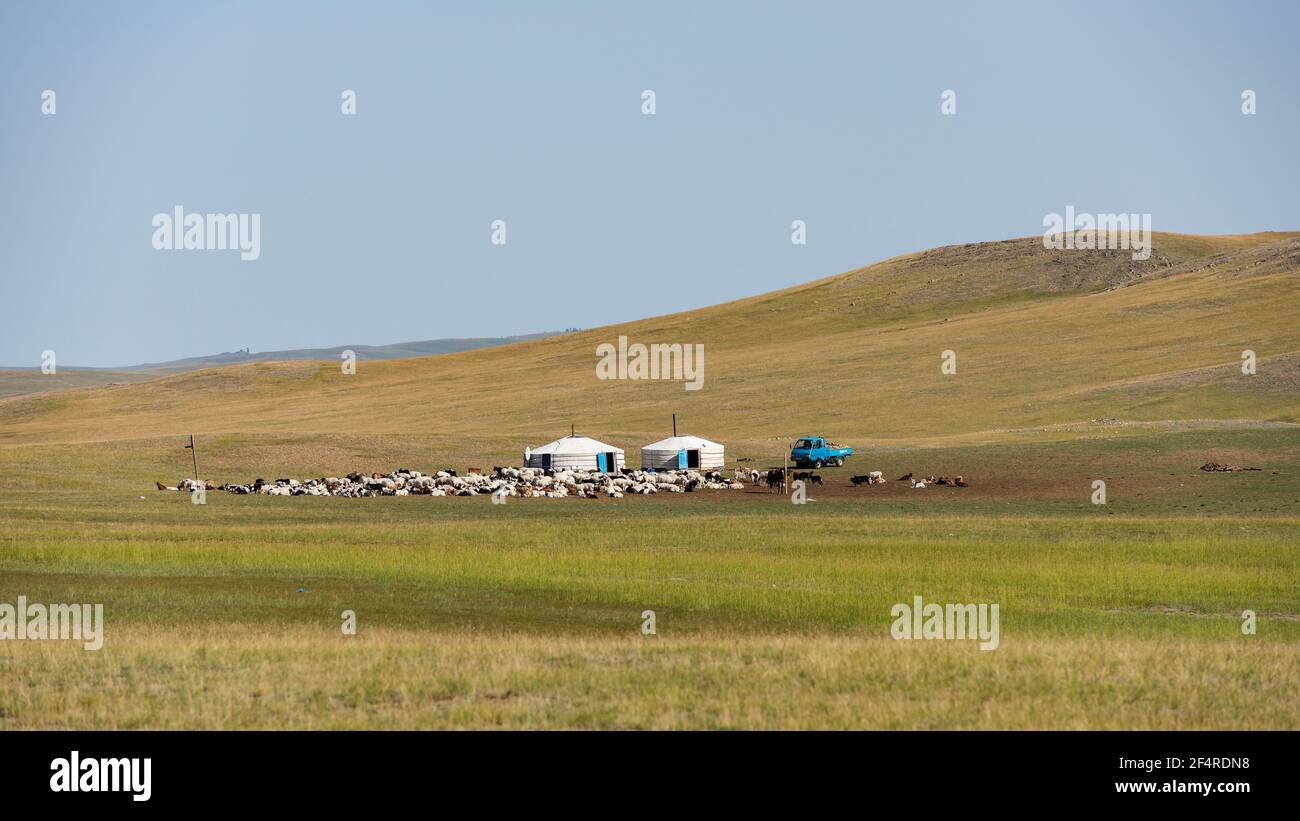 Baruuntunuun, Mongolie - 8 août 2019 : vie nomade sur la steppe de Mongolie avec deux yourtes, voiture et cheval. Banque D'Images