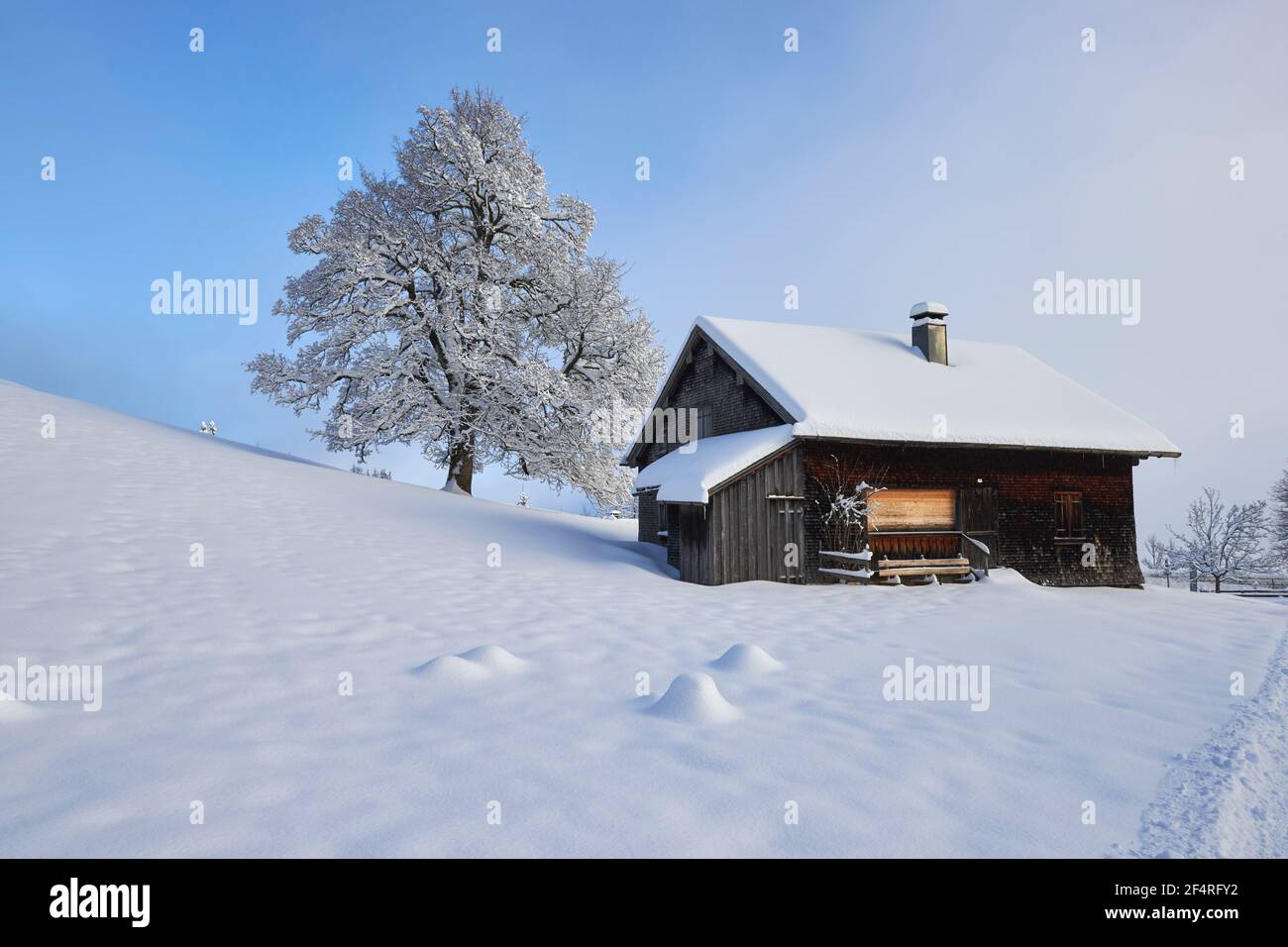 Géographie / Voyage, Autriche, Dornbirn, la partie la plus basse des huttes de pâturage de montagne dans le winte, Additional-Rights-Clearance-Info-non-disponible Banque D'Images