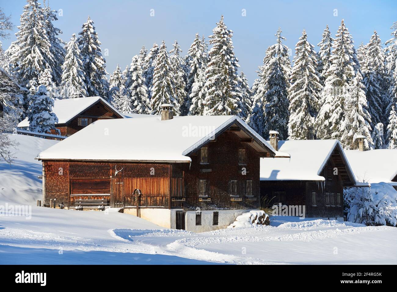 Géographie / Voyage, Autriche, Dornbirn, la partie la plus basse des huttes de pâturage de montagne dans le winte, Additional-Rights-Clearance-Info-non-disponible Banque D'Images