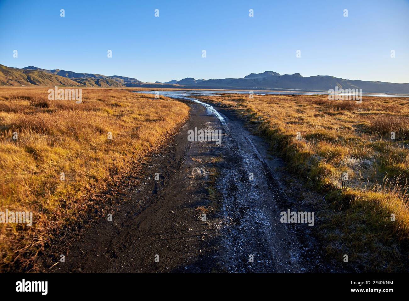 Route asphaltée en Islande, automne Banque D'Images