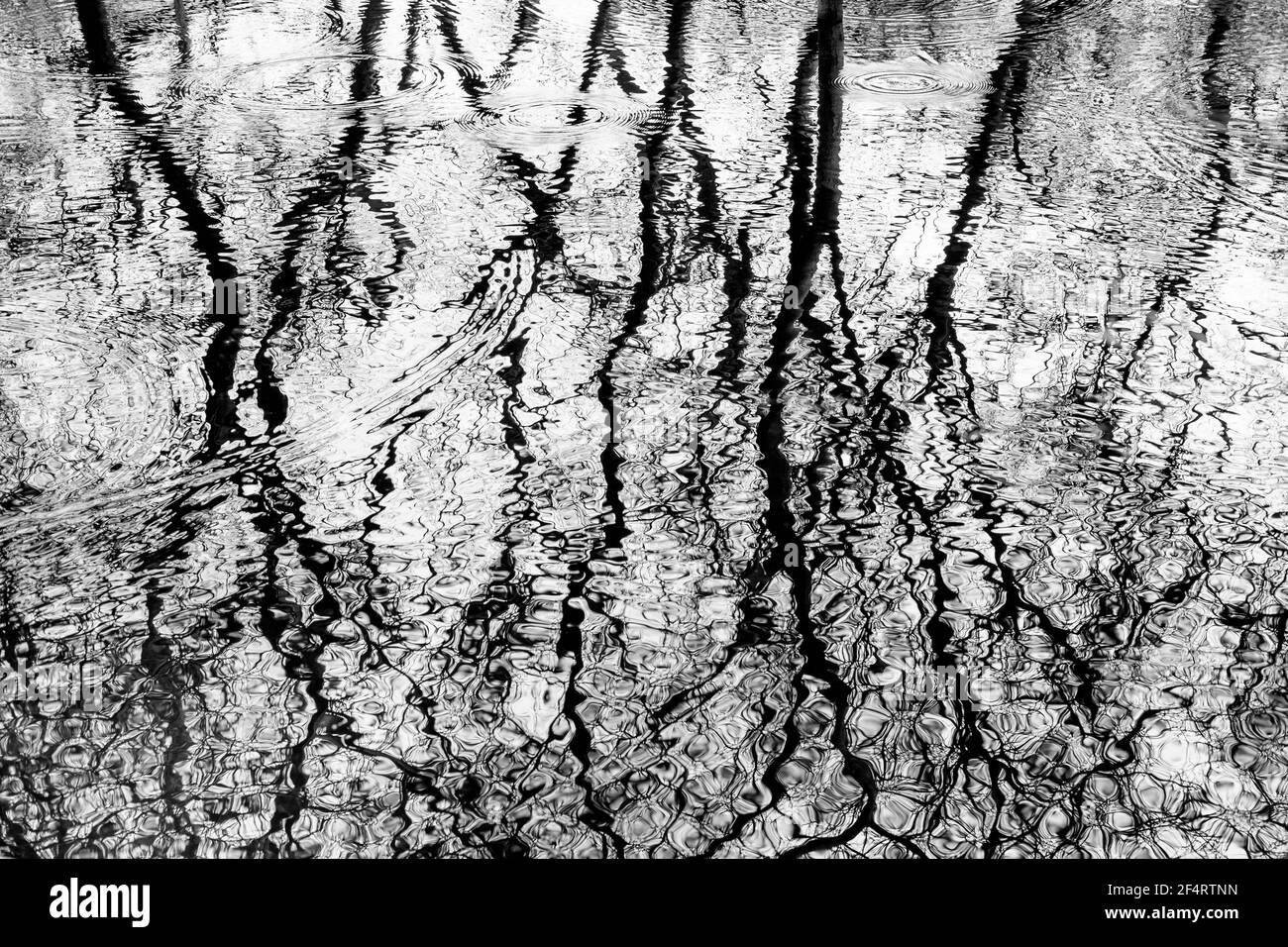Résumé noir et blanc des réflexions dans l'eau. Banque D'Images