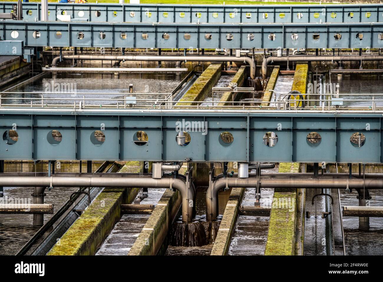 Clarificateur secondaire, usine de traitement des eaux usées d'Emschergenossenschaft à Weilheimer Mark à Bottrop, NRW, Allemagne Banque D'Images