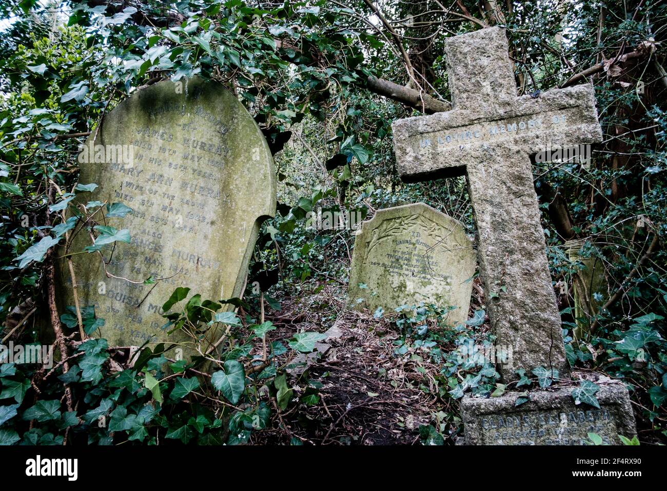 Sépultures surcultivées et délabrées, cimetière victorien de Nunhead, Londres, Royaume-Uni. Banque D'Images