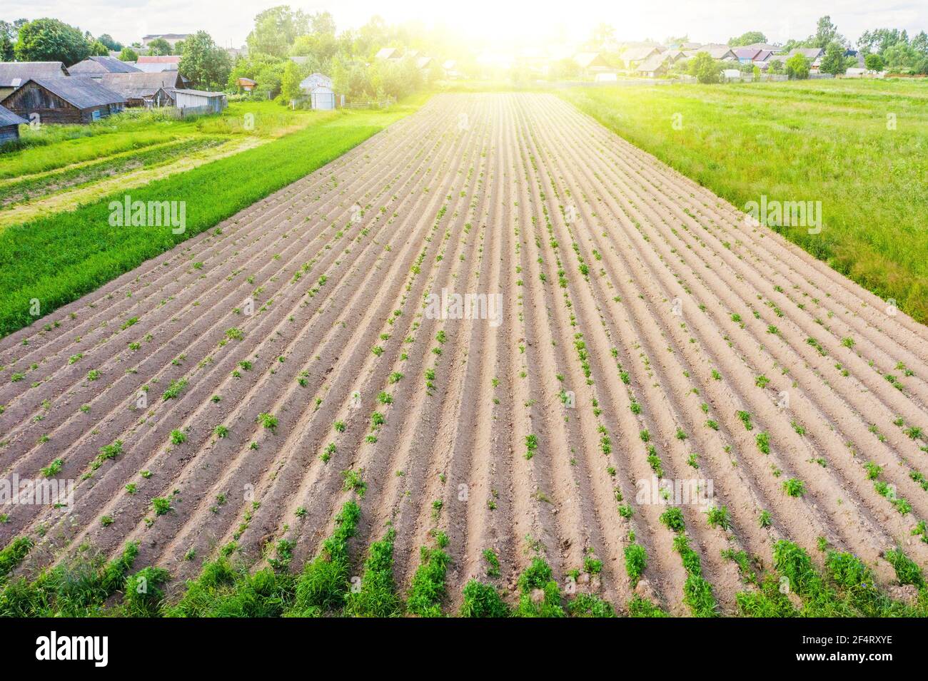 Labourer des sillons de terre pour planter des plantes agronomiques dans la campagne loin d'un village résidentiel sur une colline, vue aérienne d'en haut Banque D'Images