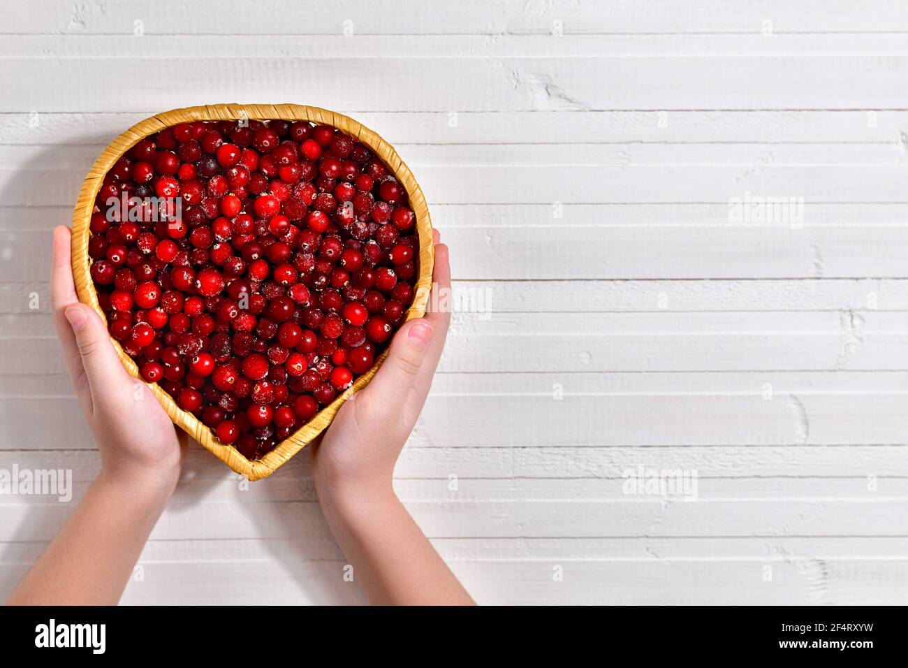 Mains montrant soigneusement les baies de canneberges dans un panier de vignes en osier en forme de coeur. Sur une table de panneaux peinte en blanc, à gauche. Banque D'Images
