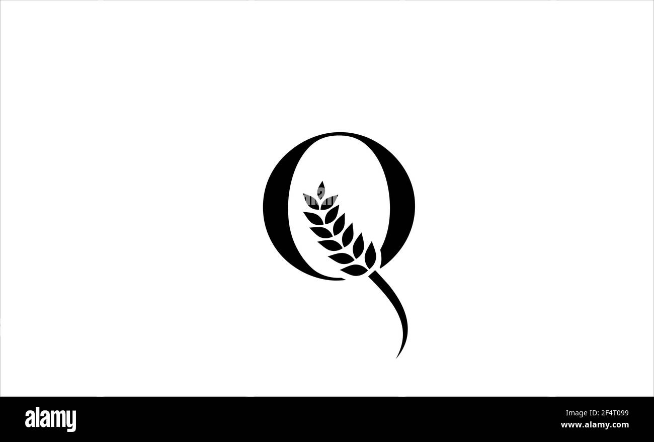 Illustration vectorielle de la lettre Q du logo blé Banque D'Images