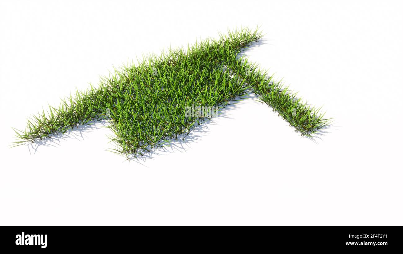 Concept ou conceptuel vert pelouse herbe symbole isolé sur fond blanc, signe de la casquette de troisième cycle. Banque D'Images