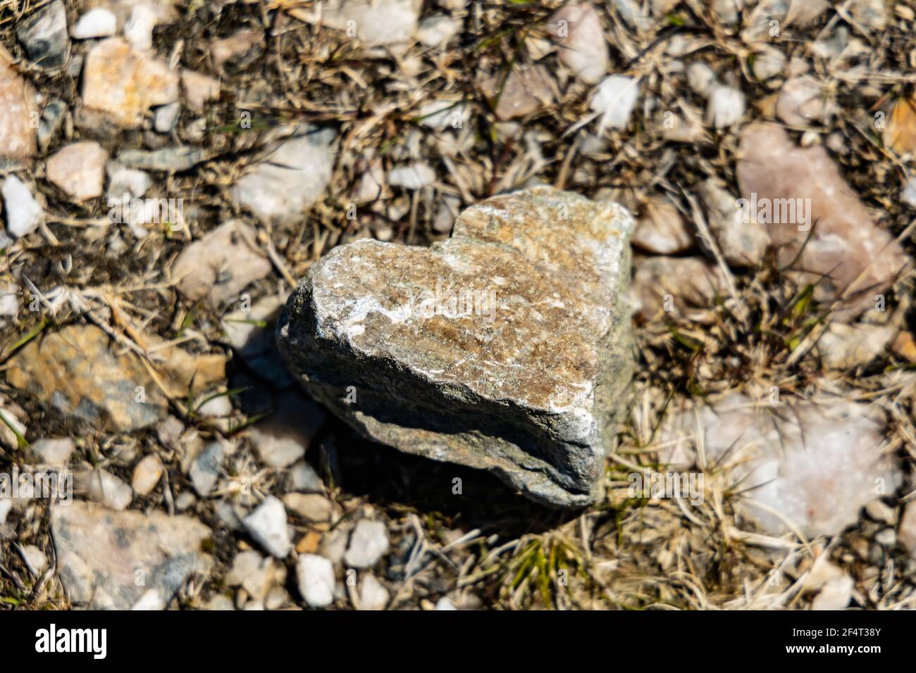 Une petite pierre en forme de coeur se trouve sur un sol pierreux Banque D'Images