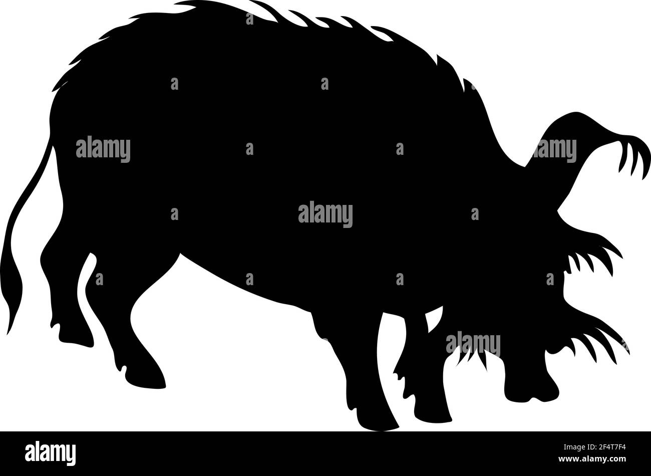 Silhouette de cochon élancée au pinceau. Lignes lisses et propres. Silhouette haute et détaillée. Illustration vectorielle. Illustration de Vecteur