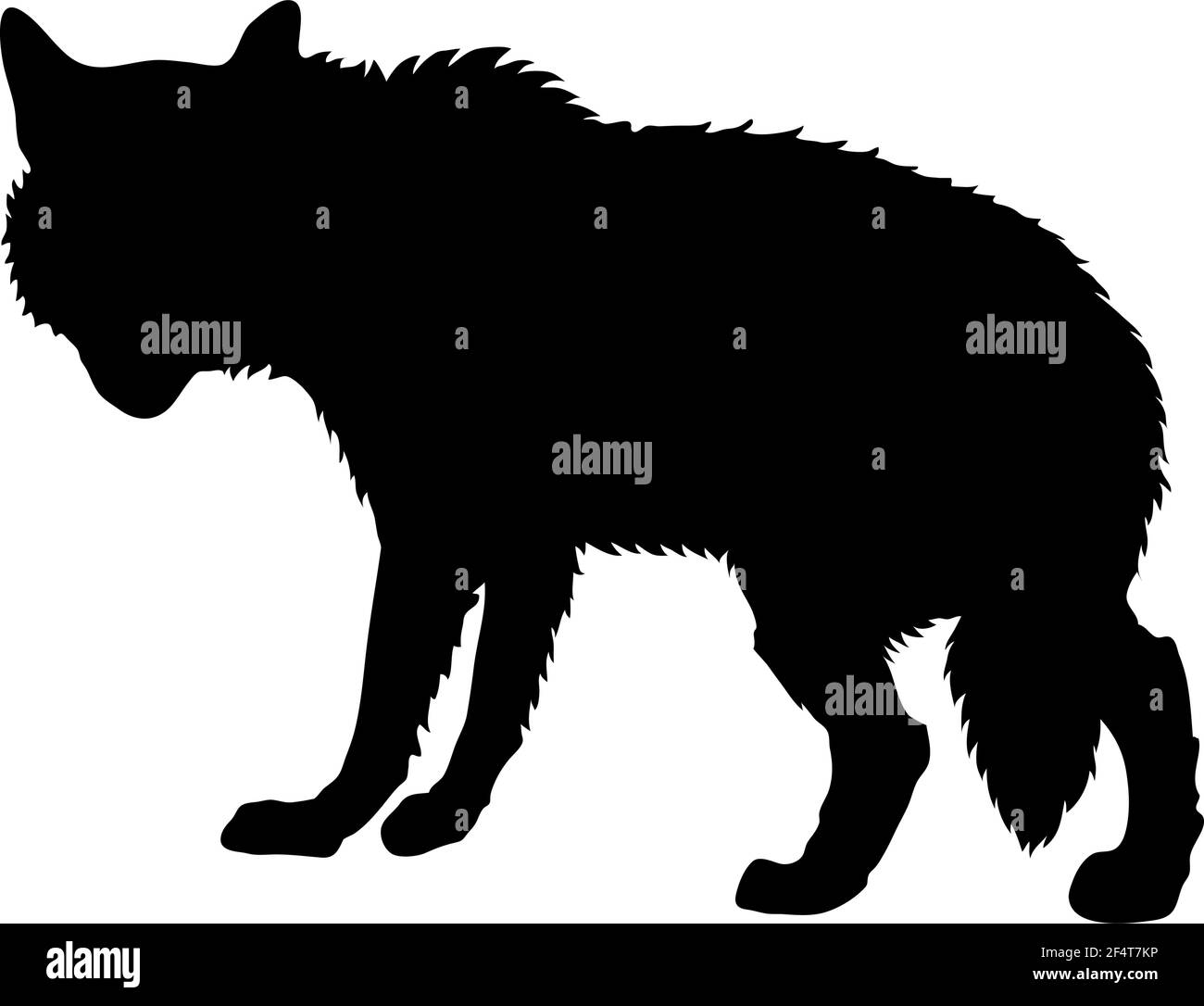 Silhouette de loup gris. Lignes lisses et propres. Silhouette High Detailed Grey Wolf. Illustration vectorielle. Illustration de Vecteur