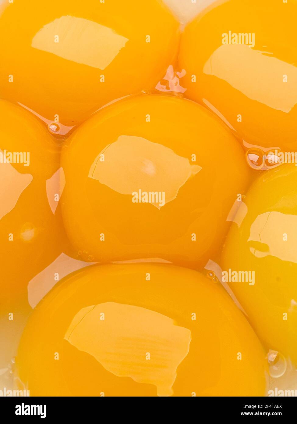 Six jaunes d'œufs crus dans un bol, gros plan. Banque D'Images