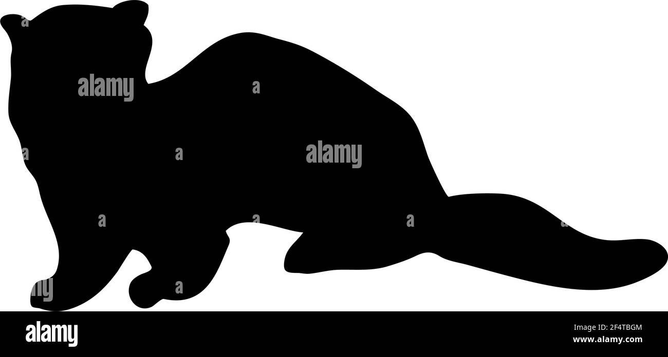 Silhouette de vison européen. Lignes lisses et propres. Silhouette de vison européen haute et détaillée. Illustration vectorielle. Illustration de Vecteur Silhouette de vison européen. Lignes lisses et propres. Silhouette de vison européen haute et détaillée. Illustration vectorielle. Illustration de Vecteur