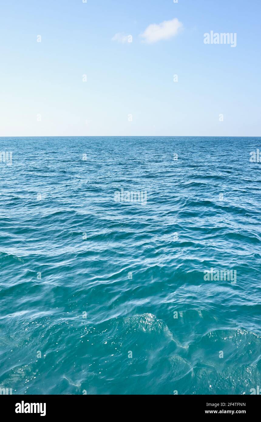 Un paysage marin sans fin par temps ensoleillé. Banque D'Images