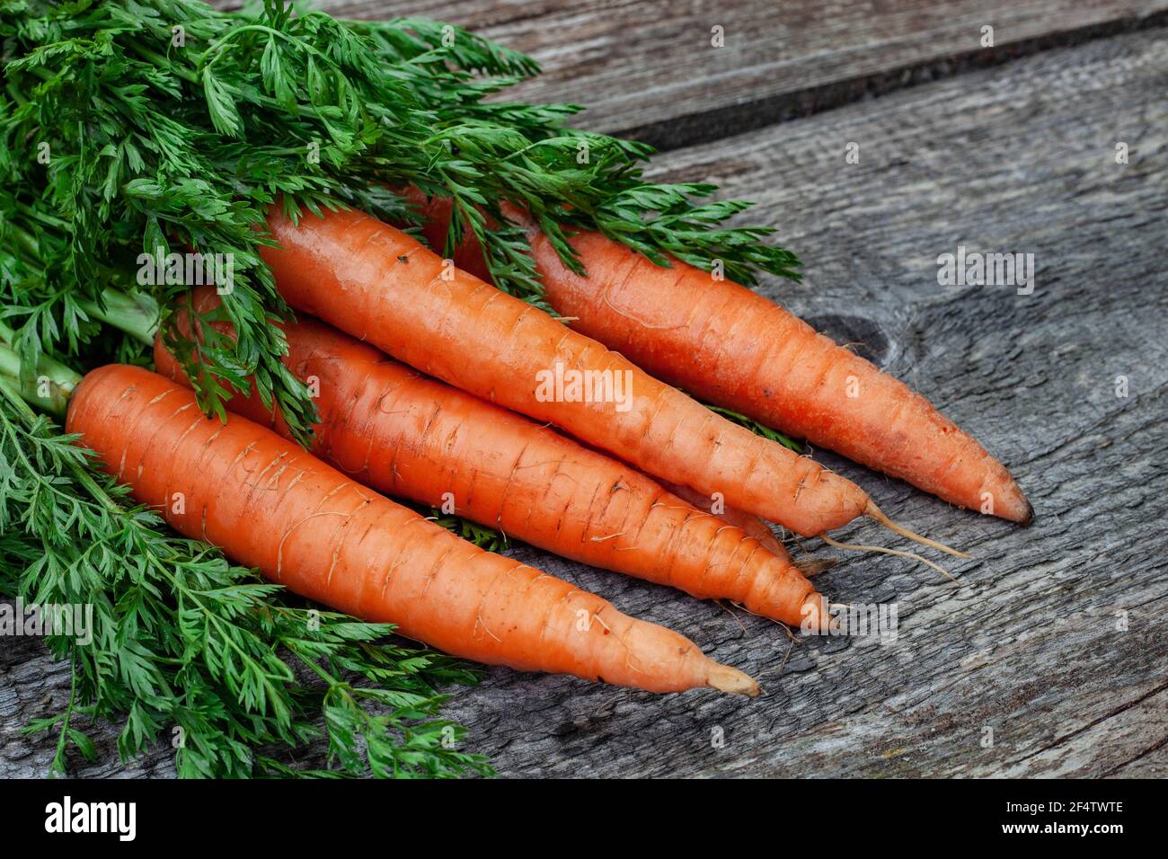 Trois délicieux carottes biologiques rustiques sur un fond rustique en bois, vue de dessus Banque D'Images