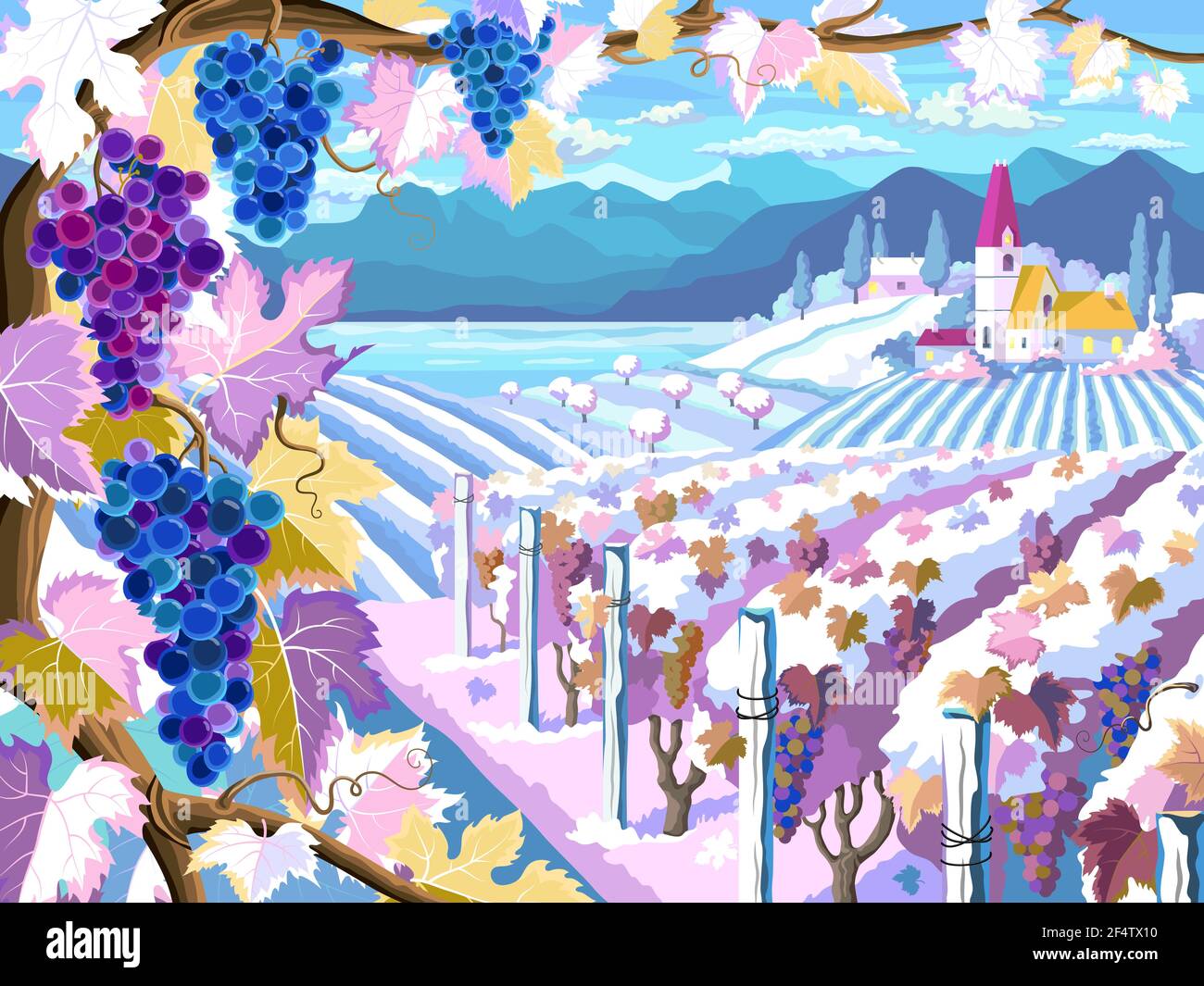 Quatre grappes de raisin Banque d'images vectorielles - Alamy