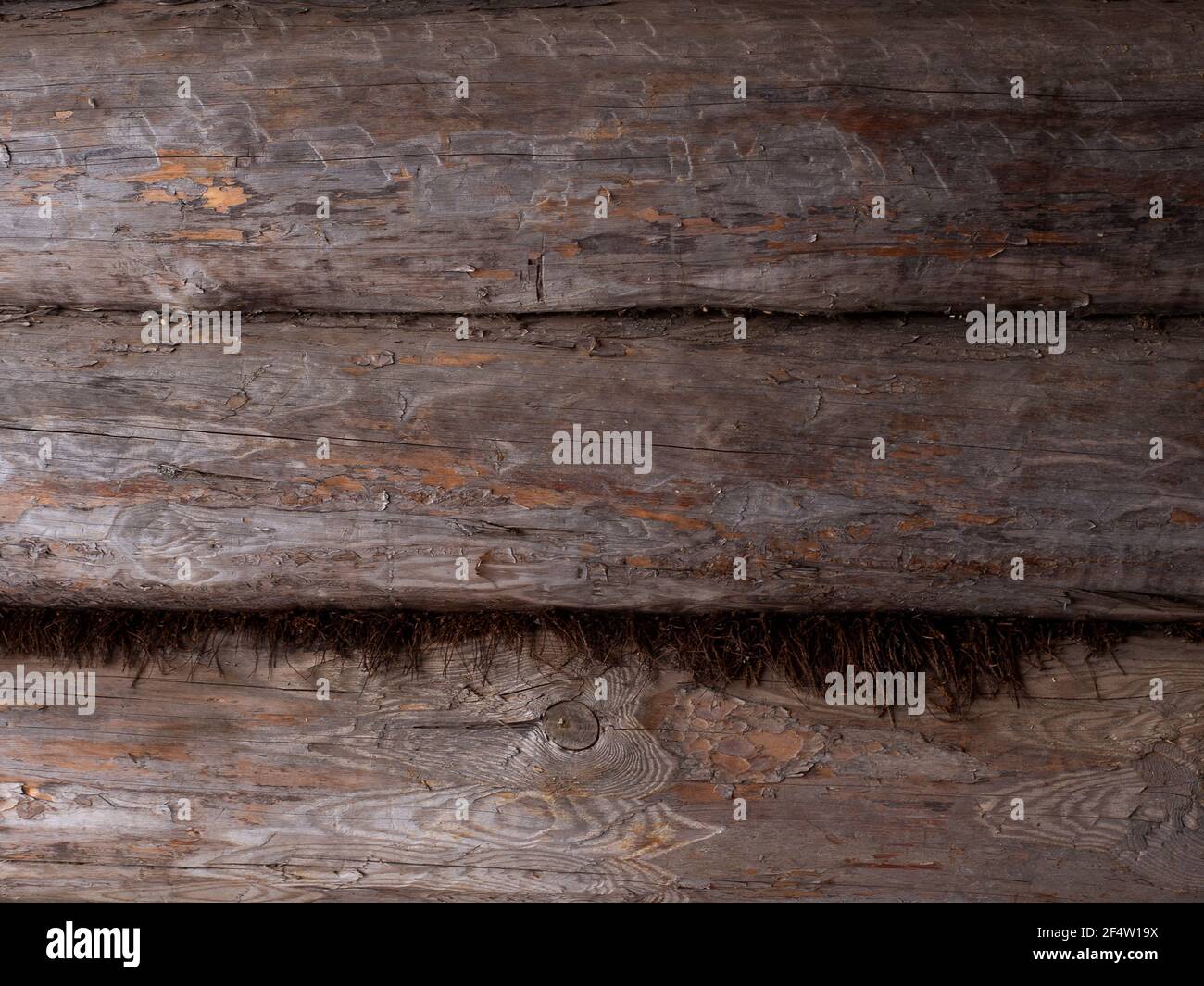 Mur de vieux rondins avec de la mousse posée entre eux. Banque D'Images