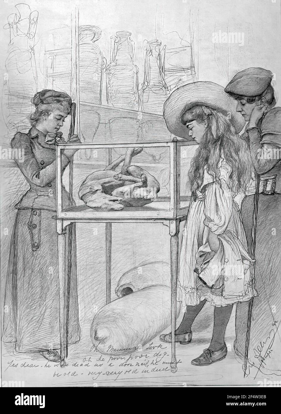 Christian Wilhelm Allers - Bell Napoli Oh pauvre chien 1892 Banque D'Images