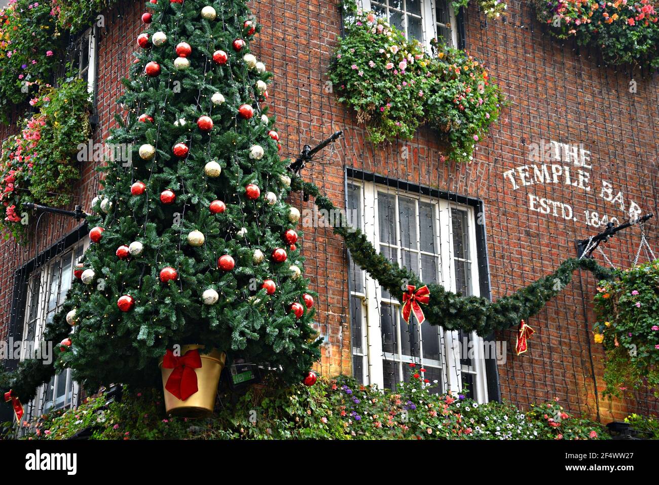 Façade en brique du pub Temple Bar avec un arbre de Noël et des décorations de fête dans le quartier homonym de Dublin en Irlande. Banque D'Images