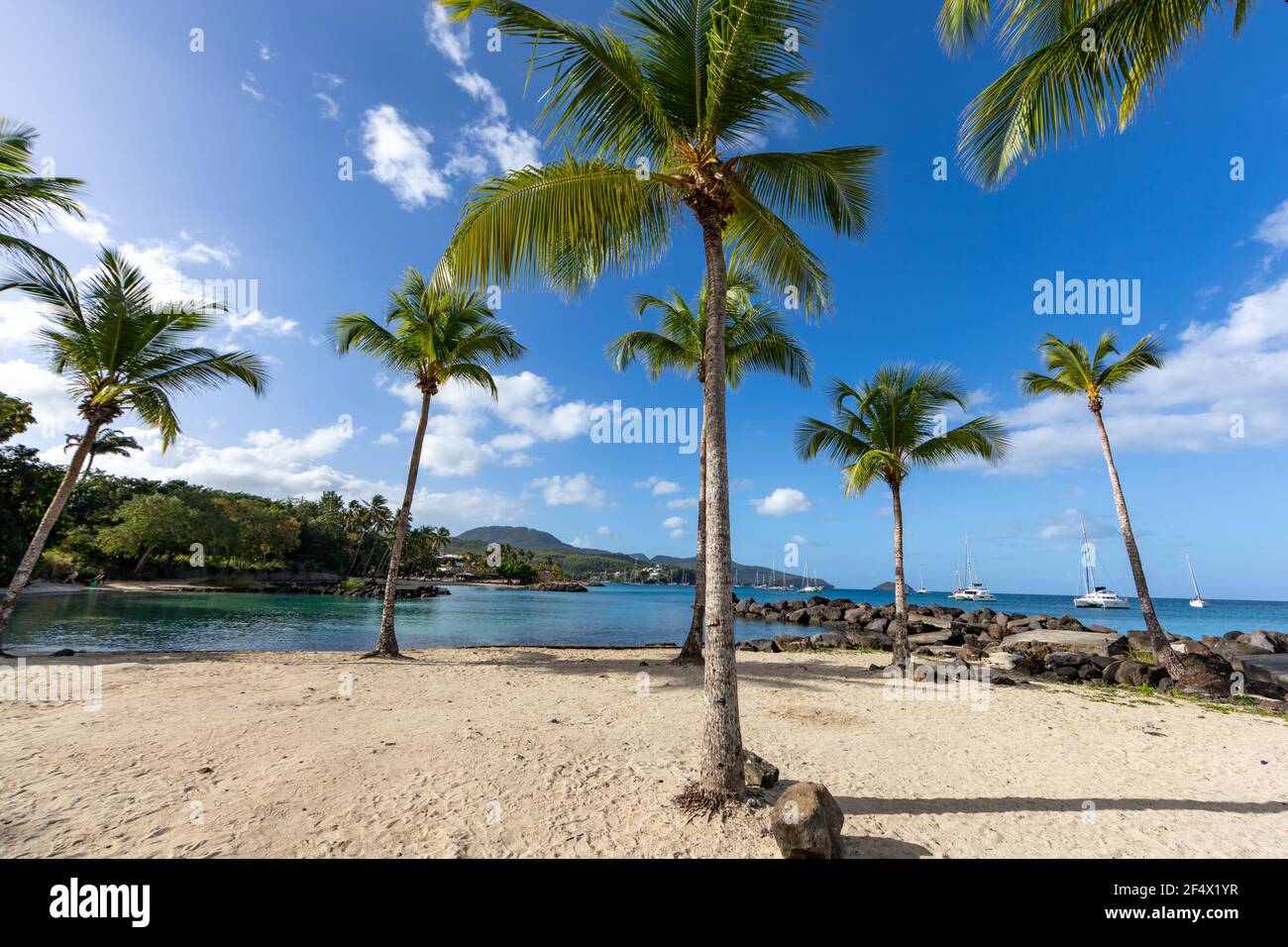 Plage de la Pointe-du-bout - les trois-Ilets, Martinique, Antilles  Françaises Photo Stock - Alamy