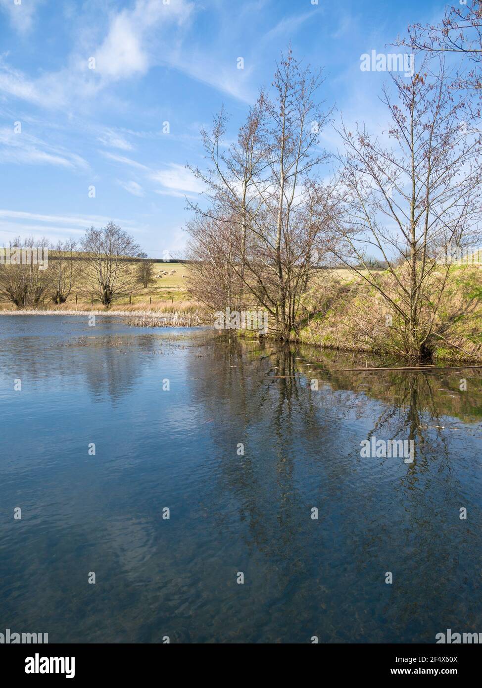 Un étang de l'ancienne mine de plomb travaille dans la réserve de Blackmoor près de Charterhouse, dans les collines de Mendip, dans le Somerset, en Angleterre. Banque D'Images