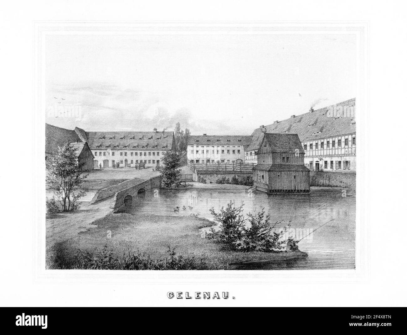 Gelen Banque D'Images