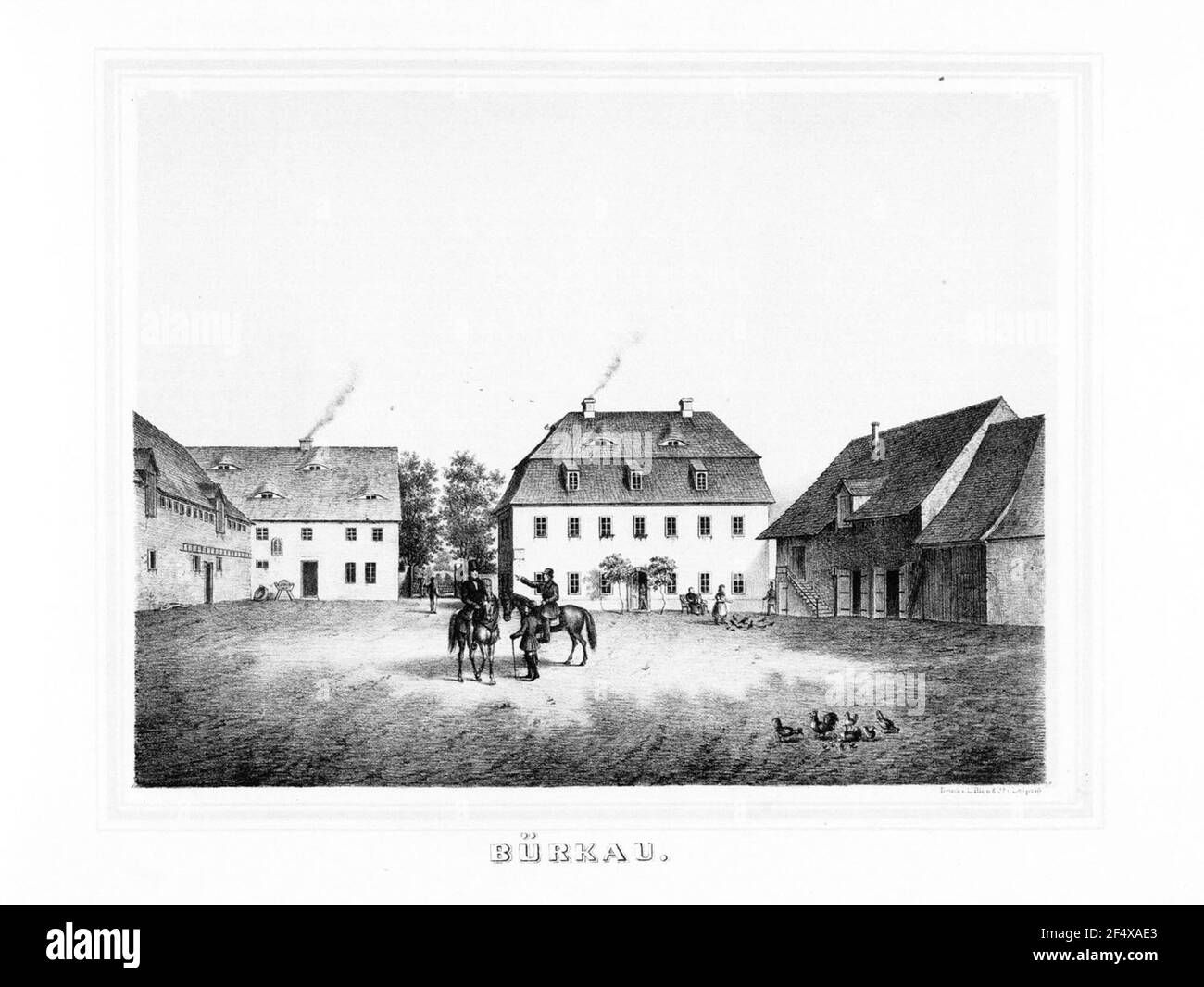 La bardane Banque D'Images